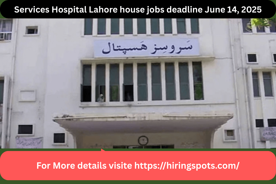 Services Hospital Lahore house jobs deadline June 14, 2025