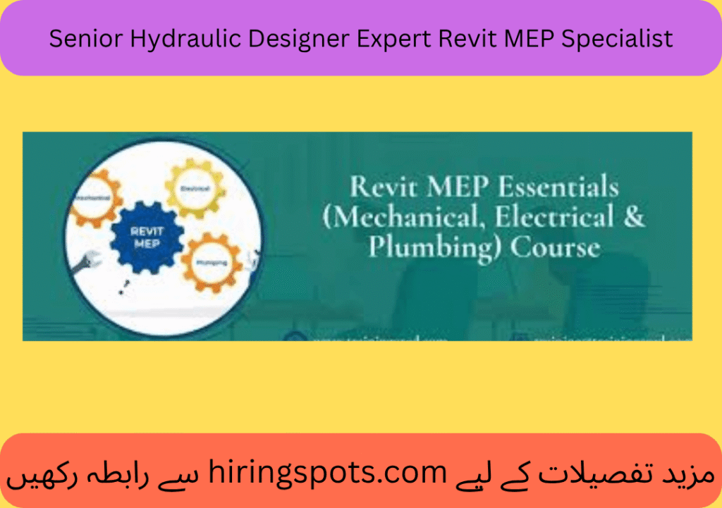 Senior Hydraulic Designer Expert Revit MEP Specialist