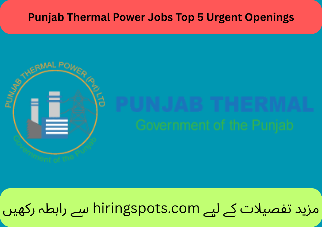 Punjab Thermal Power Jobs Top 5 Urgent Openings