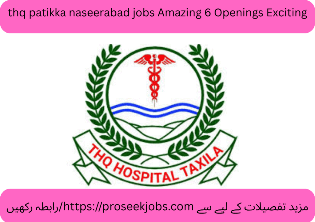 thq patikka naseerabad jobs Amazing 6 Openings Exciting